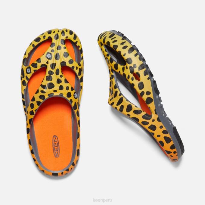 el arcoiris del guepardo artes shanti Keen2P80340