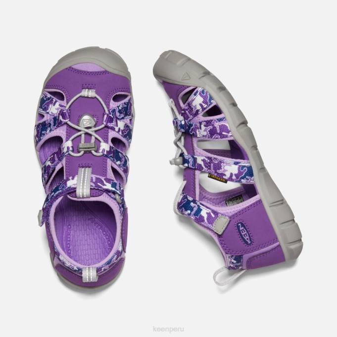 camo-tillandsia violeta grande 'seacamp ii cnx Keen2P80582