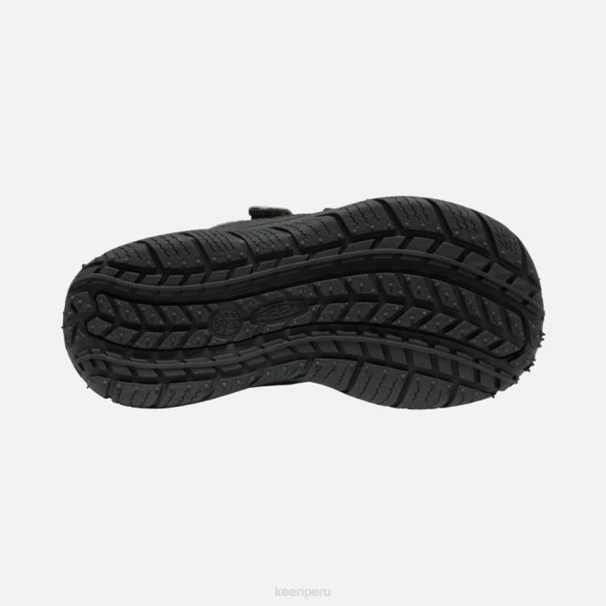 negro-plata gran 'perro veloz' Keen2P80543