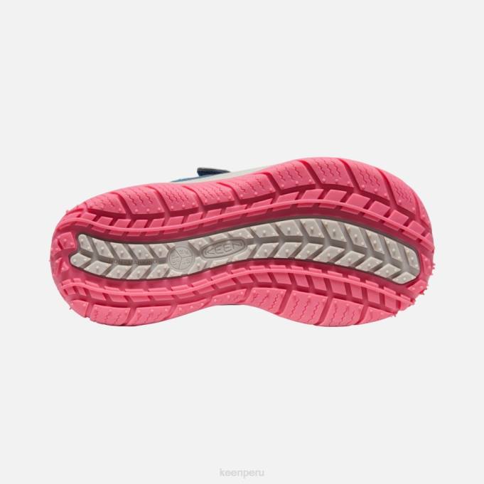 paloma de fruta de ala azul gran 'perro veloz' Keen2P80542