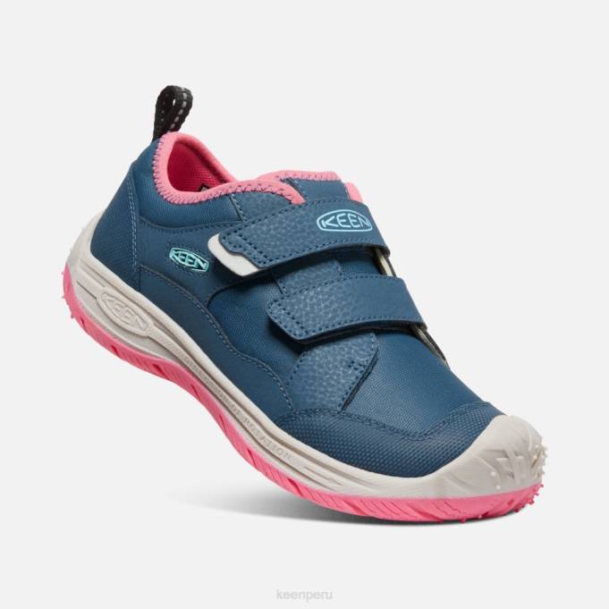 paloma de fruta de ala azul gran 'perro veloz' Keen2P80542