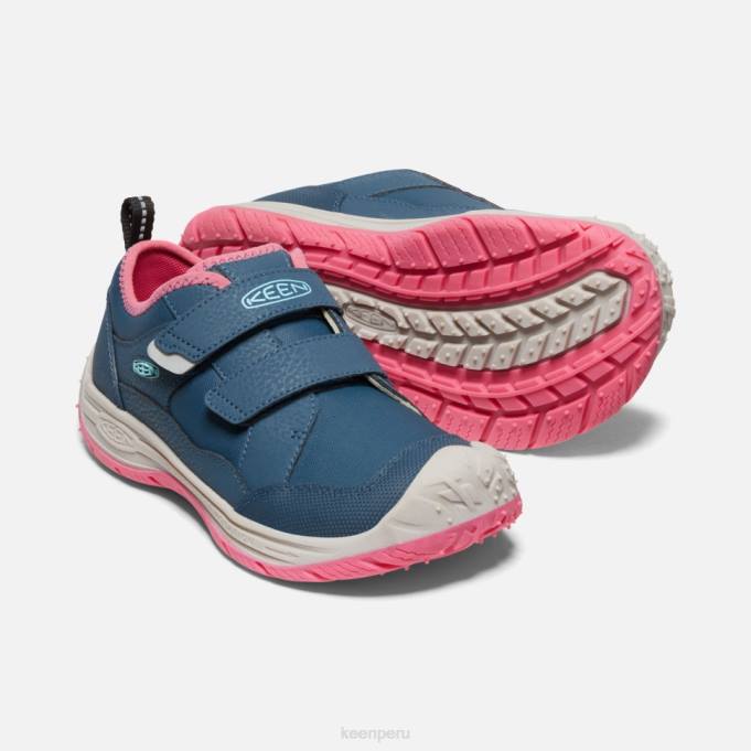 paloma de fruta de ala azul gran 'perro veloz' Keen2P80542