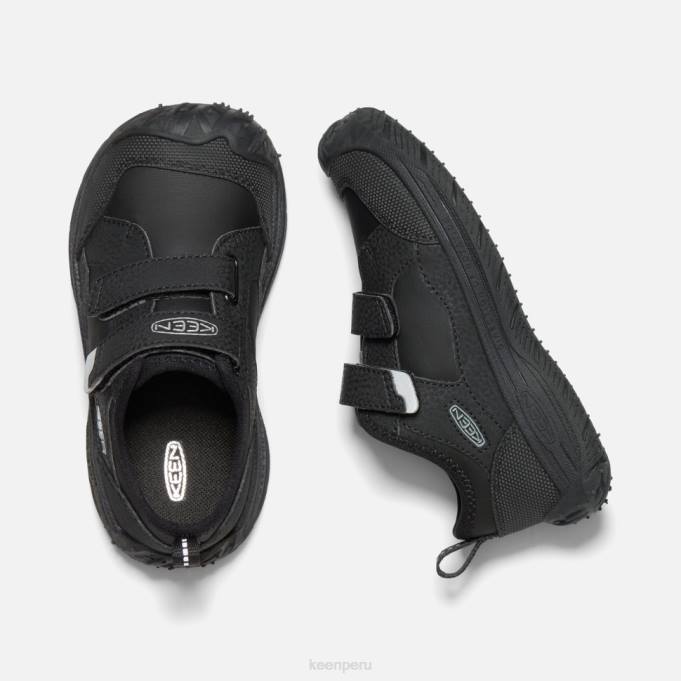 negro-plata pequeño 'perro veloz' Keen2P80559