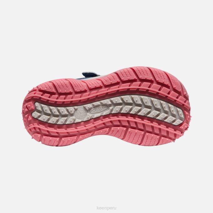 paloma de fruta de ala azul pequeño 'perro veloz' Keen2P80544