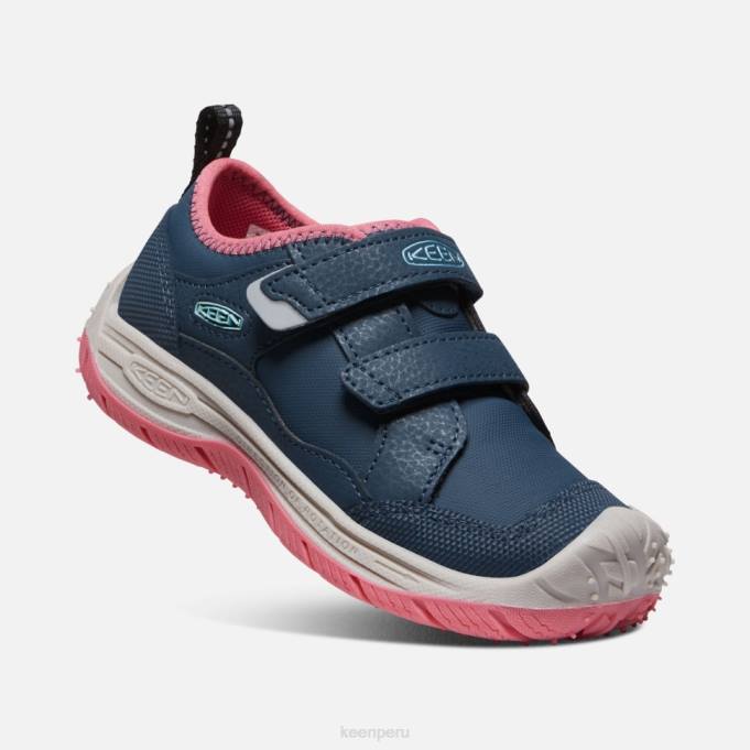 paloma de fruta de ala azul pequeño 'perro veloz' Keen2P80544