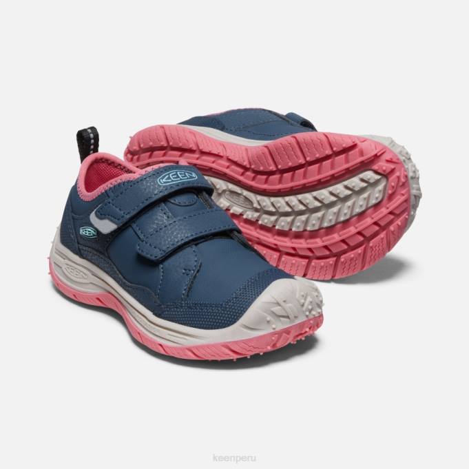 paloma de fruta de ala azul pequeño 'perro veloz' Keen2P80544