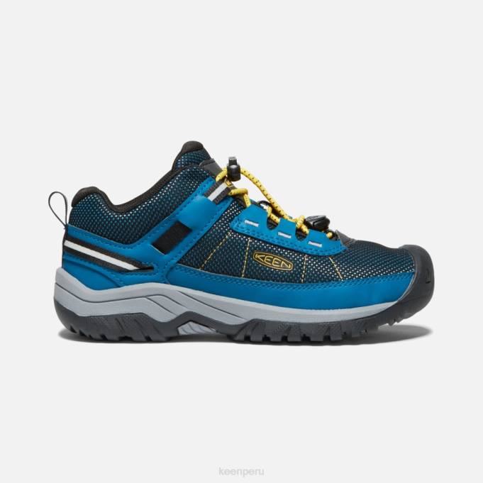 mykonos azul-amarillo intenso zapatillas de senderismo mykonos azul-amarillo mayores ' targhee sport vent Keen2P80287